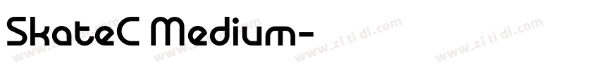 SkateC Medium字体转换